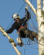 Galerie Vorschaubild